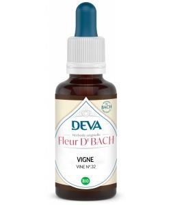 Vigne (Vine - N°32) BIO, 15 ml